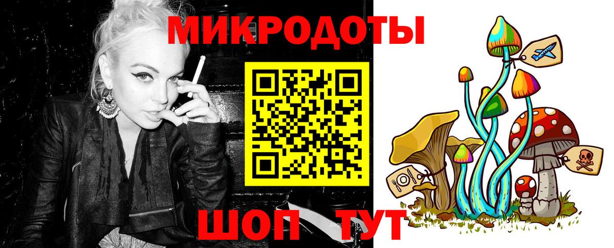 Псилоцибиновые грибы Psilocybe Мыски