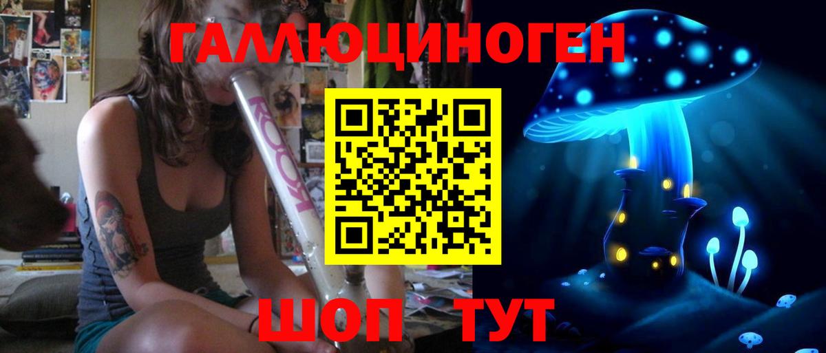 Галлюциногенные грибы Psilocybe  Вход с VPN  Мыски 